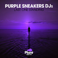 Last One Standing - Purple Sneakers DJs & Wool