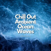 In Context - Ambientology