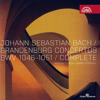 Concerto No. 6 in B-flat major, BWV 1051: III. Allegro - Johann Sebastian Bach & Marek Štryncl & Musica Florea & Ondřej Štajnochr & Hana Fleková & Lydie Cillerová & Michal Kuchařík