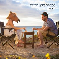 מצפון נקי - Roie Labes