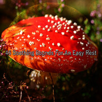 Lucid Resting - Relaxing With Sounds of Nature and Spa Music Natural White Noise Sound Therapy