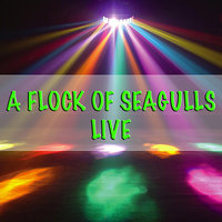 Messages - A Flock Of Seagulls