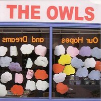 Baby Boy - The Owls