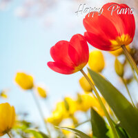 Spring Sunshine - 마인드피아노