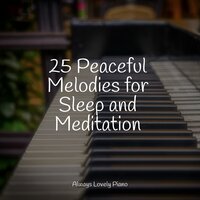 Life's Purpose - Classic Piano & Exam Study Classical Music & Study Piano