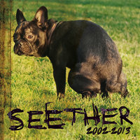 Careless Whisper - Seether