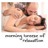 Forest Morning - Calming Music Sanctuary & Soothing Music Collection