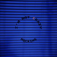 I'm Not Crazy - Hockins