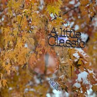 Prelude in C Major BWV 846 - Antonio Rotunda & Johann Sebastian Bach