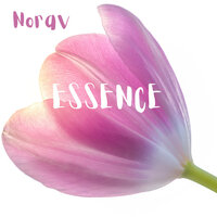 Loving - Norav