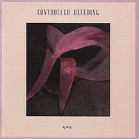 Bright Shadows - Controlled Bleeding & Paul Lemos & Joe Papa & Chris Moriarty