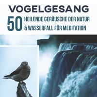 Tiefenentspannung & erholsamer Schlaf - Naturgeräusche Meditationsmusik