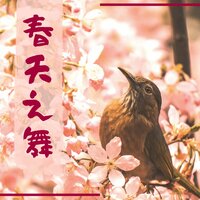 春天之舞 - 安静的轻音乐