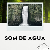 Sons da Floresta, Pt. 5 - Relaxamento Sons Da Natureza & Sons do Sono & Sons Relaxantes