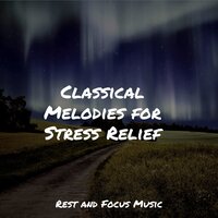 Quiet Storms - Música para Massagem Especialistas & Entspannungsmusik Meer & Deep Sleep Music Delta Binaural 432 Hz