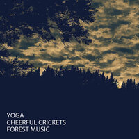 Pure White Noise - The Hang Drum Project & Focus & Work & Concentration