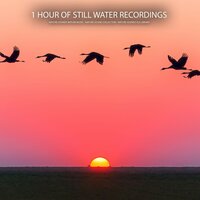 Eternal Fountain - Nature Sounds Nature Music & Nature Sound Collection & Nature Sounds XLE Library