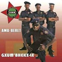 Ngize ngebheji - Bheki Mshengu