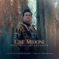 Che Midoni - Morteza Jafarzadeh