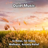 Quiet Music to Relax and for Sleep Part 82 - Relaxing Music by Darius Alire & Yoga & Relaxing music