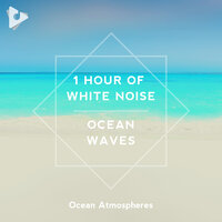 Stress Free Binaural Ocean Sounds - Ocean Atmospheres