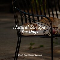 Calm Music - Music for Calming Dogs & Relaxation Music For Dogs & Jazz Music Therapy for Dogs