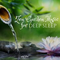Power of Mind - Free Zen Spirit
