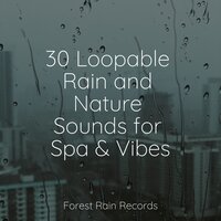 Forest, Busy, Animals - Deep Sleep FX & Baby Sleep Music & Winds and Oceans