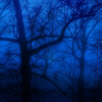 anxiety - kxneri