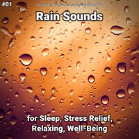 Rain Sounds for Serene Sleep - Rain Sounds & Nature Sounds & Rain Sounds by Andrew Pawlas