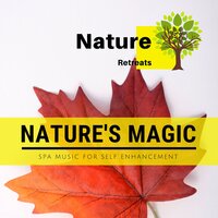 The Mad Monkey Rhymes - Power Yoga Nature Sounds