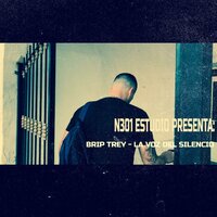 La voz del silencio - Brip Trey