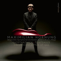 Cello Concerto No. 2 in 5 Episodes: Episode II. Andante molto - Maximilian Hornung & Andris Poga & Deutsches Symphonie-Orchester Berlin