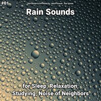 Rain - Rain Sounds to Fall Asleep To & Nature Sounds & Rain Sounds