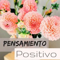 Sonidos Relajantes - Espacio Emocional