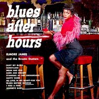 Goodbye Baby - Elmore James