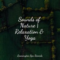 Sleepy Head - Relaxing Nature Music & Soothing Chill Out For Insomnia & Baby Sleep Music