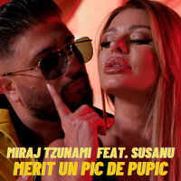Merit Un Pic De Pupic - Miraj Tzunami & Susanu