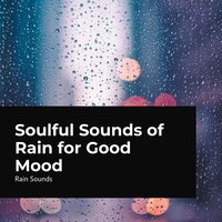 Birds Singing in Light Rain - Rain Sounds