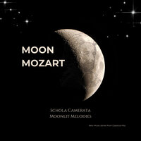 Andante Con Molto - Symphony N 34 - Classical Hits & Schola Camerata