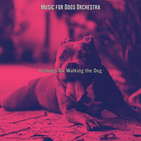 Easy Listening Acoustic Guitar Soundtrack for Doggy Training - Music for Dogs Orchestra