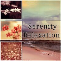 Yoga Practice (Muscles Relaxation) - Time of Relax Universe