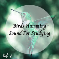 Quill - Nature Hiker & Nature Noise & Natural Sound Makers