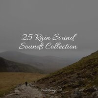 Crackling Campfire - Mother Nature FX & Classical Lullabies & White Noise Sound Garden