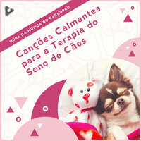 Música relaxante junto ao oceano - Hora da Música do Cachorro & Música Relaxante para Cachorros & Música de Cachorro Calmante