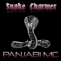 Snake Charmer - Panjabi MC