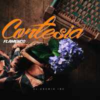 Sueño Contigo, Luego Existo - Nova Jazzers & Priscilla Mariano & Dan Stevens
