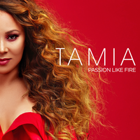 Leave It Smokin' - Tamia