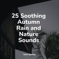 Water Dripping, Concrete, Metal, Urban - mindfulness meditation world & Rain Sounds ACE & Relaxing Nature Sounds Collection