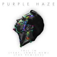 Fall In - Purple Haze & James New & LVNDSCAPE